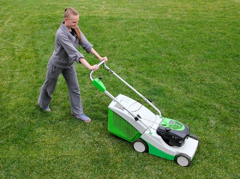 honda lawn mower