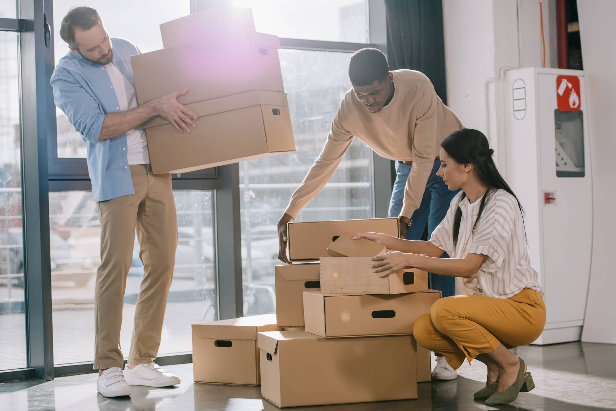 Removalists earlwood