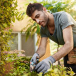 Lawn Mowing Equipment