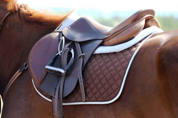 Jumping Saddles