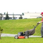 honda lawn mower