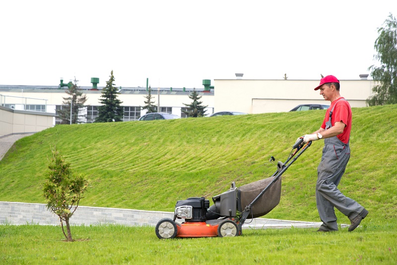 honda lawn mower