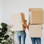 Removalists earlwood