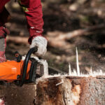 Stump Removal