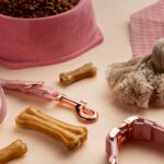 buy dog products sydney