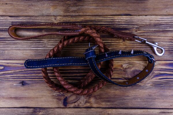 handmade dog collars