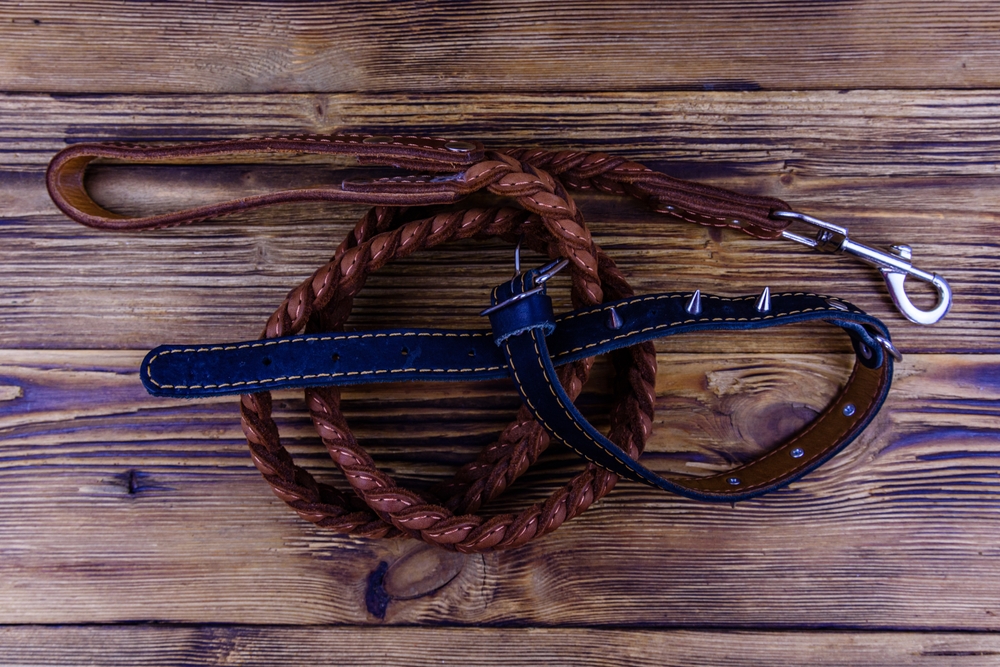 handmade dog collars