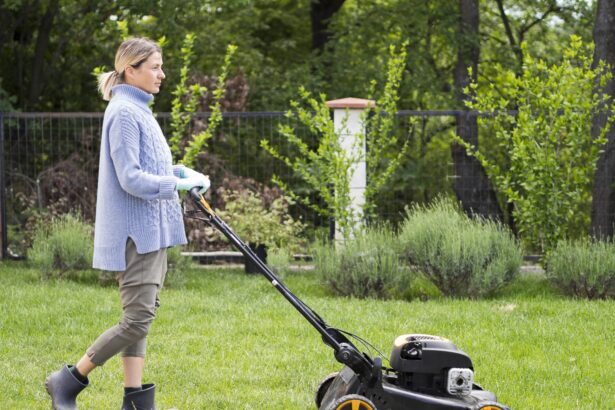 masport mowers australia