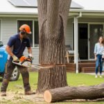 Tree Removal
