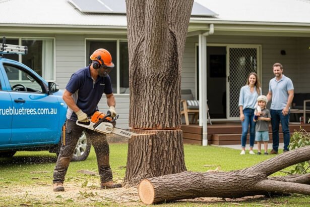 Tree Removal
