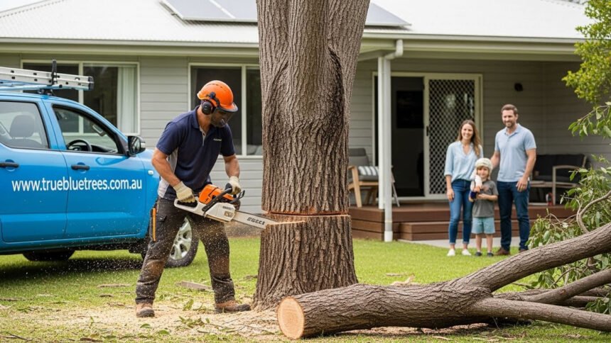Tree Removal