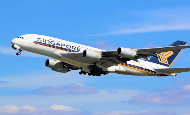 Singapore Airlines Ticket
