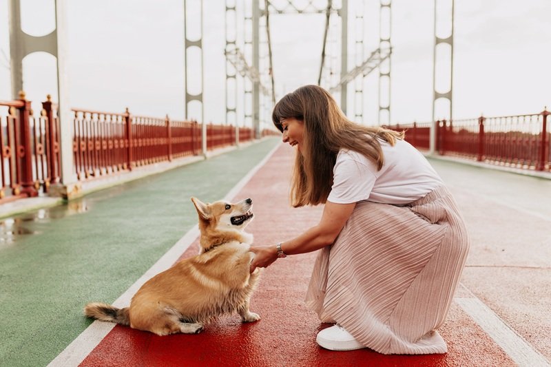 dog boarding victoria