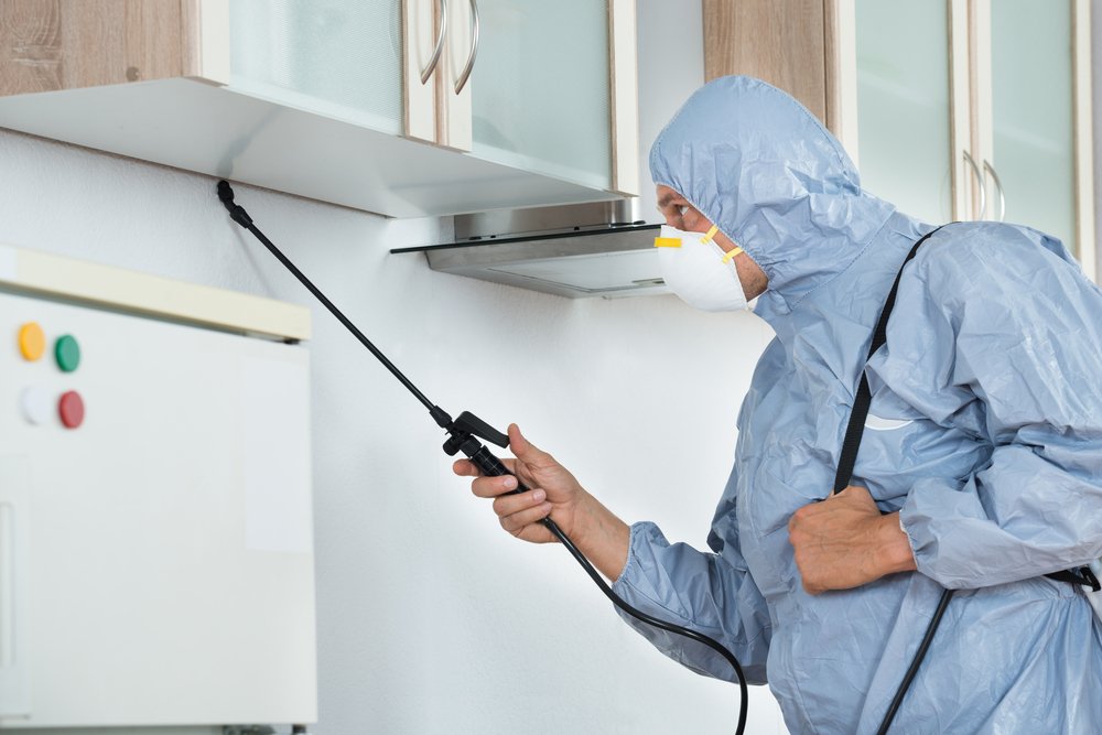 pest control